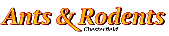Chesterfield Ant Exterminator & Rodent Control Company Logo